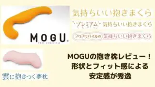 サンデシカの抱き枕レビュー 妊婦以外にもおすすめ 軽くて熱がこもりにくい リフォームまるごと研究所